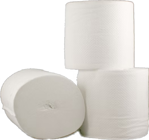 Eco-Correct Coreless Toilet Paper - 10 Pack