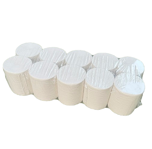 Eco-Correct Coreless Toilet Paper - 10 Pack